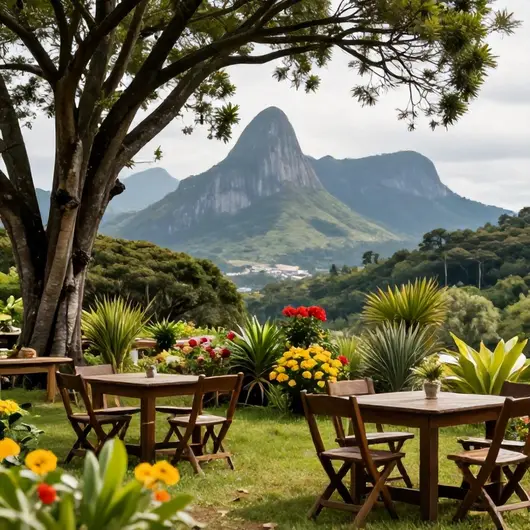 Descubra Aparecida Tur Turismo