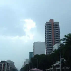 Defesa Civil de SP envia 15 alertas Cell Broadcast e registra rajadas de vento de até 92,6 km/h na madrugada deste sábado (12) Defesa Civil de SP